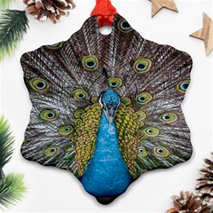 Peacock-feathers2 Snowflake Ornament (two Sides) by nateshop