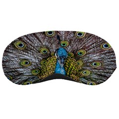 Peacock-feathers2 Sleep Mask by nateshop