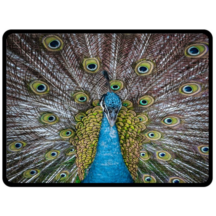 Peacock-feathers2 Fleece Blanket (Large)