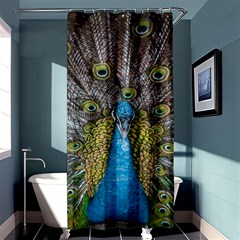 Peacock-feathers2 Shower Curtain 36  X 72  (stall)  by nateshop