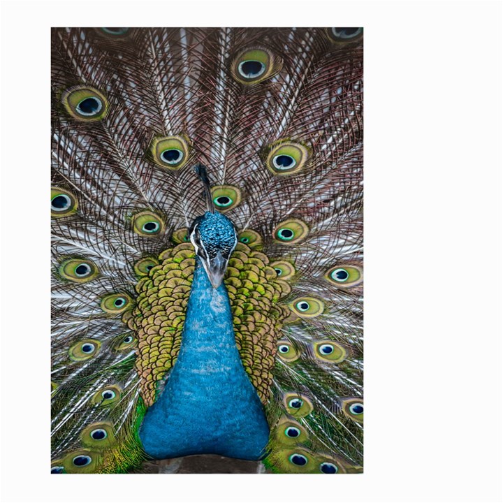 Peacock-feathers2 Large Garden Flag (Two Sides)