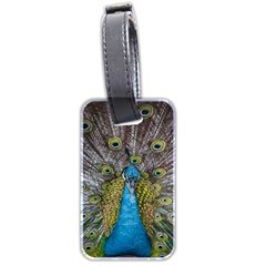 Peacock-feathers2 Luggage Tag (two Sides) by nateshop