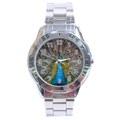 Peacock-feathers2 Stainless Steel Analogue Watch by nateshop