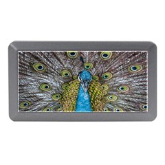 Peacock-feathers2 Memory Card Reader (mini) by nateshop