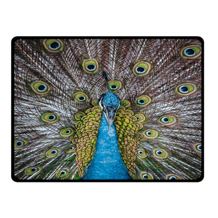 Peacock-feathers2 Two Sides Fleece Blanket (Small)