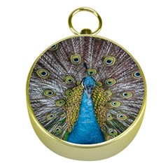 Peacock-feathers2 Gold Compasses by nateshop