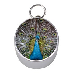 Peacock-feathers2 Mini Silver Compasses by nateshop