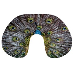 Peacock-feathers2 Travel Neck Pillow by nateshop