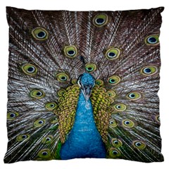 Peacock-feathers2 Large Premium Plush Fleece Cushion Case (two Sides) by nateshop