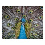 Peacock-feathers2 Two Sides Premium Plush Fleece Blanket (Large) 80 x60  Blanket Front