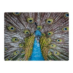 Peacock-feathers2 Two Sides Premium Plush Fleece Blanket (mini) by nateshop