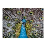 Peacock-feathers2 Two Sides Premium Plush Fleece Blanket (Mini) 35 x27  Blanket Front