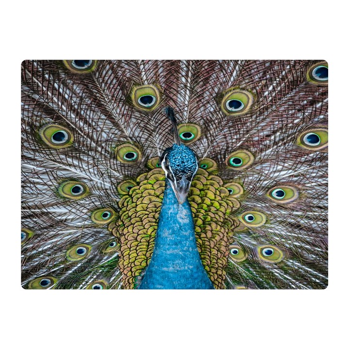 Peacock-feathers2 Two Sides Premium Plush Fleece Blanket (Mini)