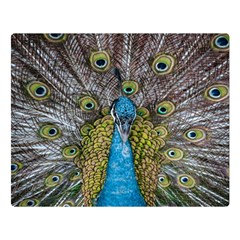 Peacock-feathers2 Two Sides Premium Plush Fleece Blanket (large) by nateshop