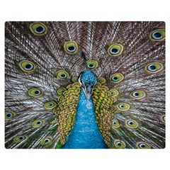 Peacock-feathers2 Two Sides Premium Plush Fleece Blanket (medium) by nateshop