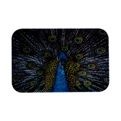 Peacock-feathers2 Open Lid Metal Box (silver)   by nateshop