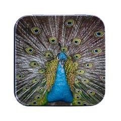 Peacock-feathers2 Square Metal Box (black)