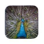 Peacock-feathers2 Square Metal Box (Black) Front