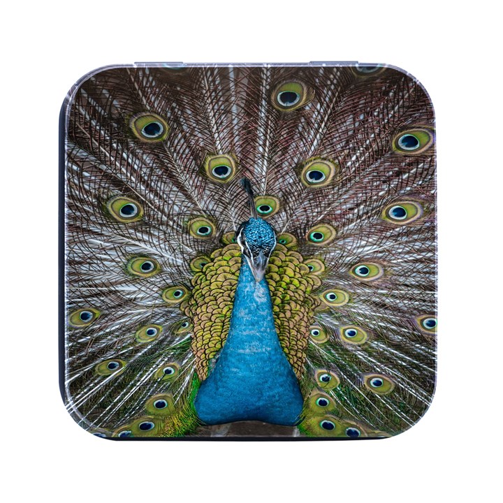 Peacock-feathers2 Square Metal Box (Black)