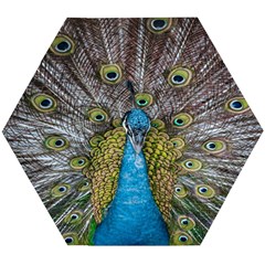 Peacock-feathers2 Wooden Puzzle Hexagon by nateshop