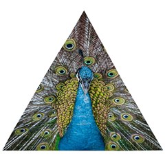 Peacock-feathers2 Wooden Puzzle Triangle by nateshop