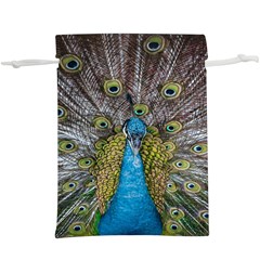 Peacock-feathers2 Lightweight Drawstring Pouch (xl) by nateshop