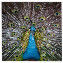 Peacock-feathers2 Wooden Puzzle Square by nateshop