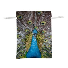 Peacock-feathers2 Lightweight Drawstring Pouch (l) by nateshop