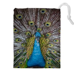 Peacock-feathers2 Drawstring Pouch (4xl) by nateshop