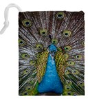 Peacock-feathers2 Drawstring Pouch (4XL) Back