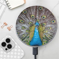 Peacock-feathers2 Wireless Fast Charger(white) by nateshop