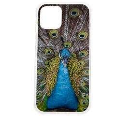 Peacock-feathers2 Iphone 12 Pro Max Tpu Uv Print Case by nateshop