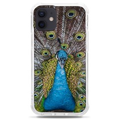 Peacock-feathers2 Iphone 12 Mini Tpu Uv Print Case	 by nateshop