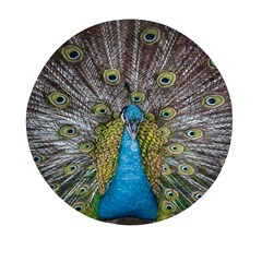 Peacock-feathers2 Mini Round Pill Box (pack Of 5)