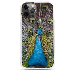 Peacock-feathers2 Iphone 12 Pro Max Tpu Uv Print Case by nateshop