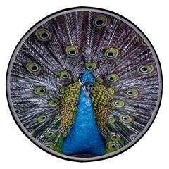 Peacock-feathers2 Wireless Fast Charger(black) by nateshop