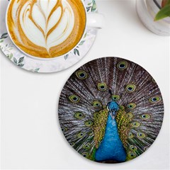 Peacock-feathers2 Uv Print Round Tile Coaster by nateshop