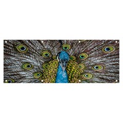 Peacock-feathers2 Banner And Sign 8  X 3  by nateshop