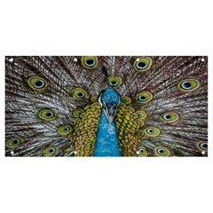 Peacock-feathers2 Banner And Sign 8  X 4 