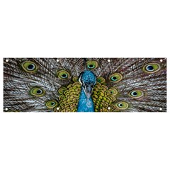 Peacock-feathers2 Banner And Sign 9  X 3  by nateshop