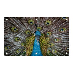 Peacock-feathers2 Banner And Sign 5  X 3  by nateshop