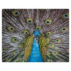 Peacock-feathers2 Premium Plush Fleece Blanket (medium) by nateshop