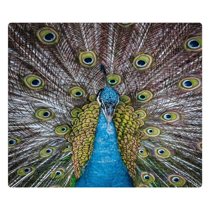 Peacock-feathers2 Premium Plush Fleece Blanket (Small)