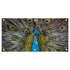 Peacock-feathers2 Banner And Sign 4  X 2  by nateshop