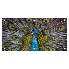 Peacock-feathers2 Banner And Sign 6  X 3  by nateshop