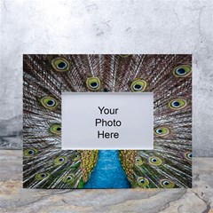 Peacock-feathers2 White Tabletop Photo Frame 4 x6 