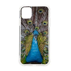 Peacock-feathers2 Iphone 11 Tpu Uv Print Case by nateshop