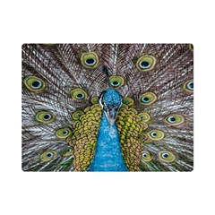 Peacock-feathers2 Premium Plush Fleece Blanket (mini) by nateshop