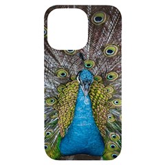 Peacock-feathers2 Iphone 14 Pro Max Black Uv Print Case by nateshop