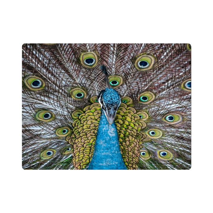 Peacock-feathers2 Premium Plush Fleece Blanket (Mini)